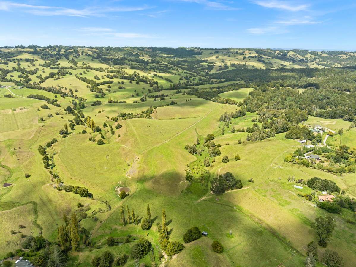 47B Mihi Road_2