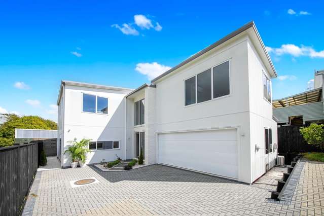 2A Hawea Road Point Chevalier_1