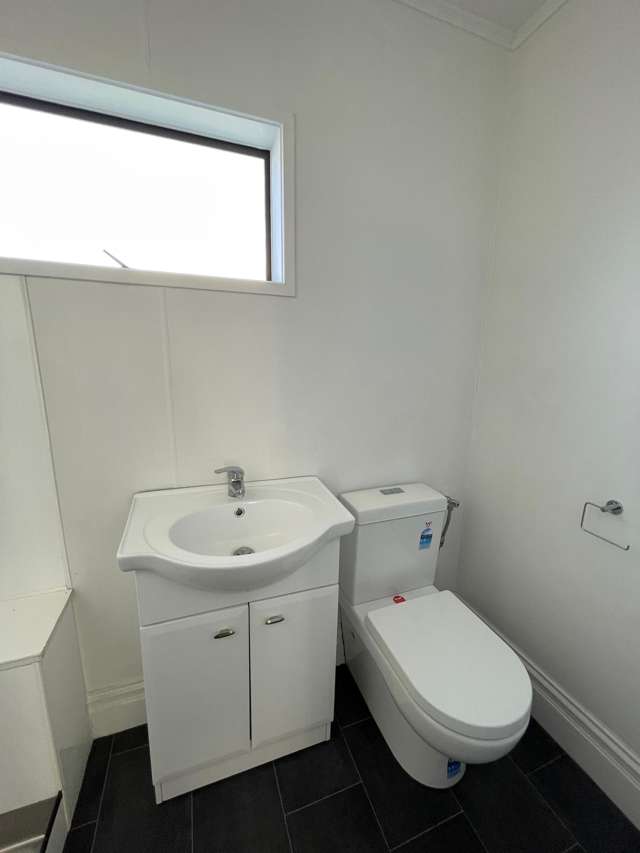 62A Awapuni Rd Awapuni_4