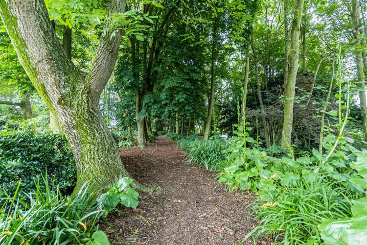 410 Orari Station Road Geraldine_24