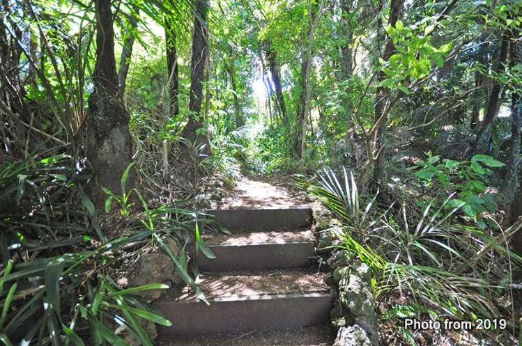 50 Waima Crescent Titirangi_21