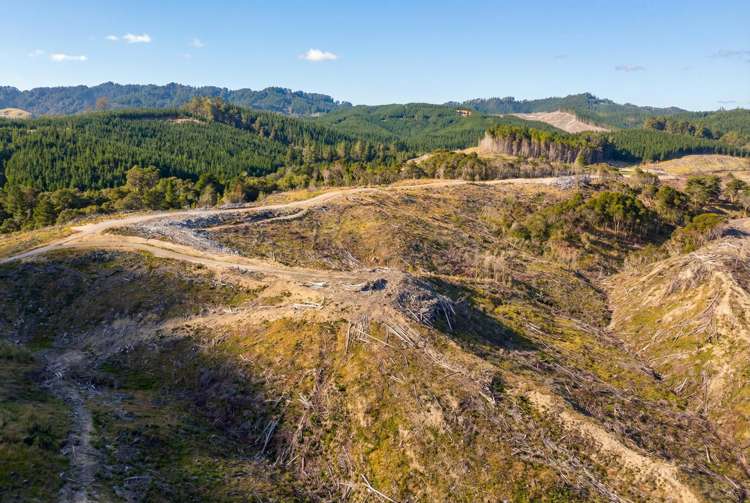 Lot 2 Kaiwhata Road Te Wharau_9