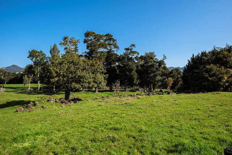 157 Bint Road Maungakaramea_19