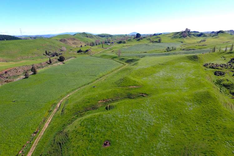 161 Veale Road Otorohanga_31