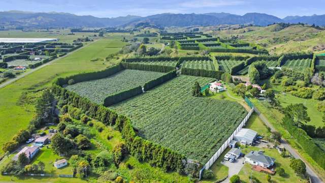 13 Dr Reid Road Opotiki_1