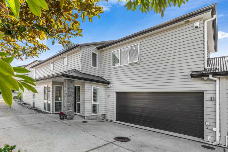 627b Manukau Road Epsom_1