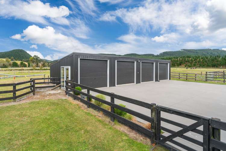 341 White Road Broadlands Forest_16