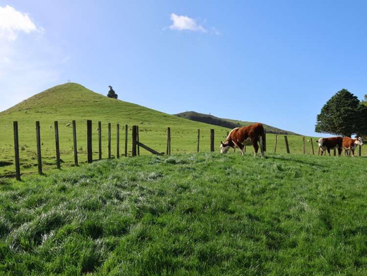 98 Millstream Road Dannevirke_6