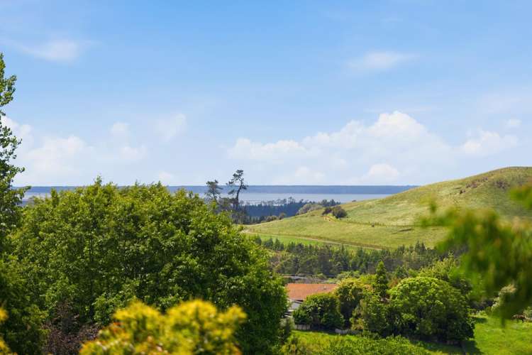 104D Wainui South Road Whakamarama_15