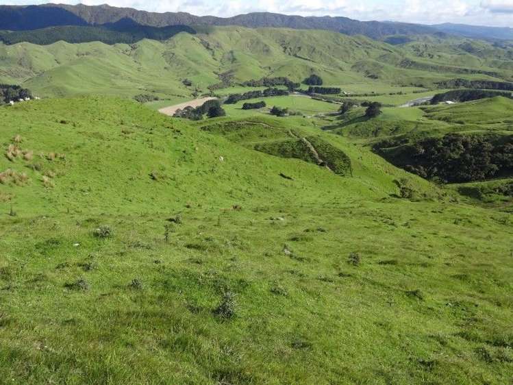 378 Putara Road Eketahuna_8