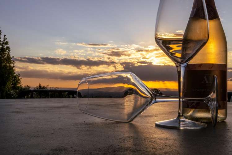 617 Maungakawa Road Te Miro_27