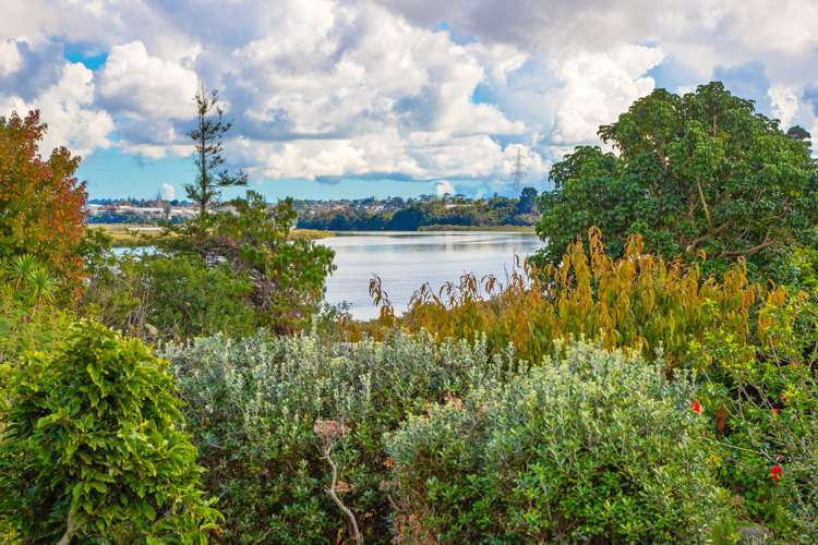 38 Esmeralda Avenue Avondale_4