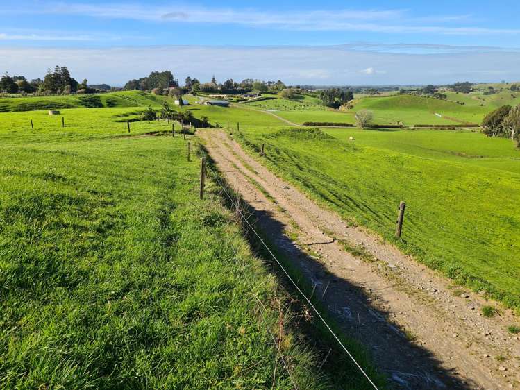 801 Mangorei Road Mangorei_11