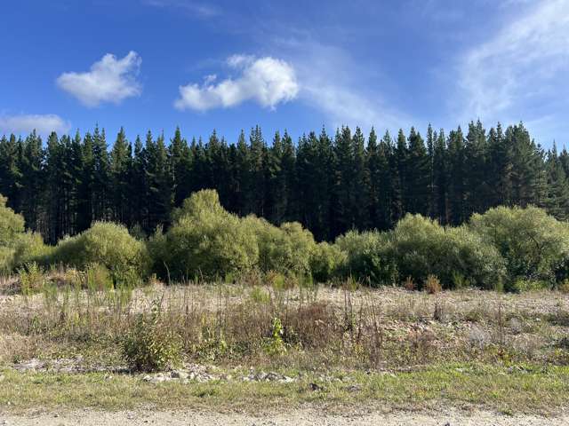 Lot . Red Jacks Road Ngahere_2