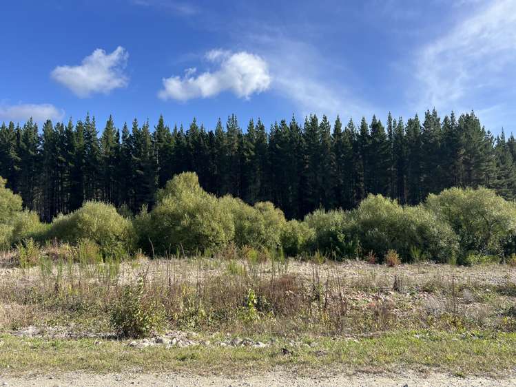 Lot . Red Jacks Road Ngahere_2