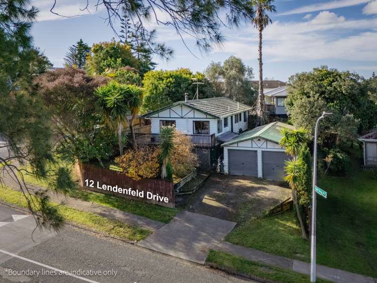 12 Lendenfeld Drive Papatoetoe_9