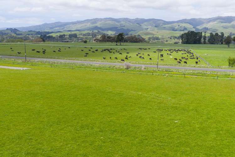 643 a and b Pohangina Road Ashhurst_12