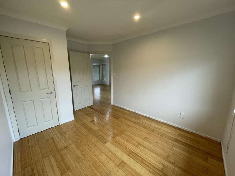 5 Catlins Glen Aotea_10