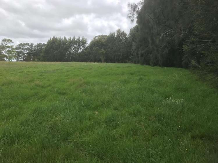 74 Trig Road Whenuapai_13