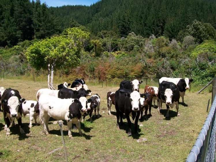 351 Harvey Road Marahau_11