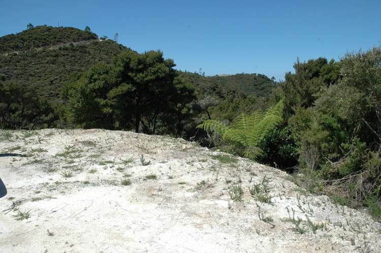 6 Cape Rodney Place Mangawhai Heads_5