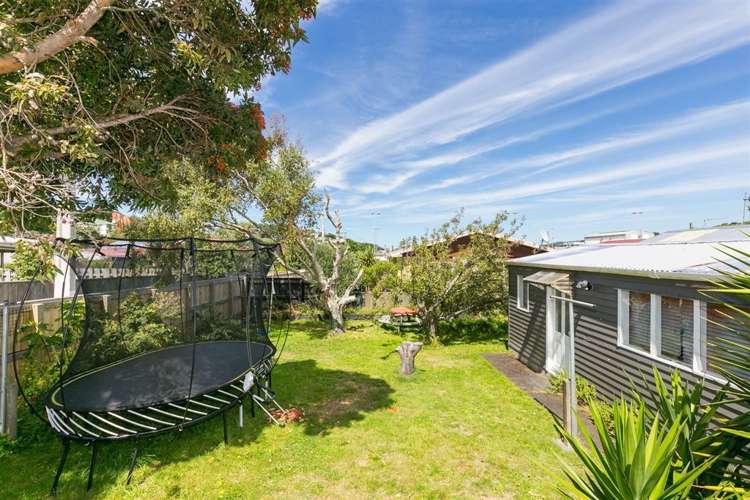 46a Camperdown Road Miramar_19