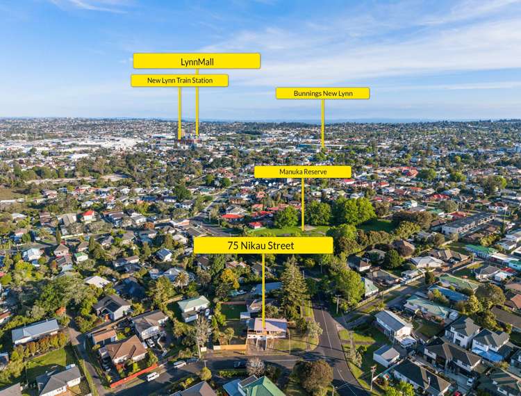 75 Nikau Street New Lynn_20