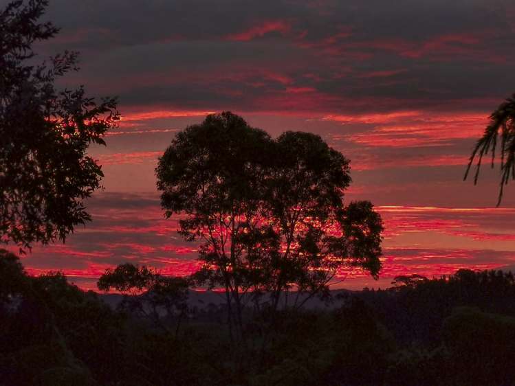 11 Carnie Street Gate Pa_17