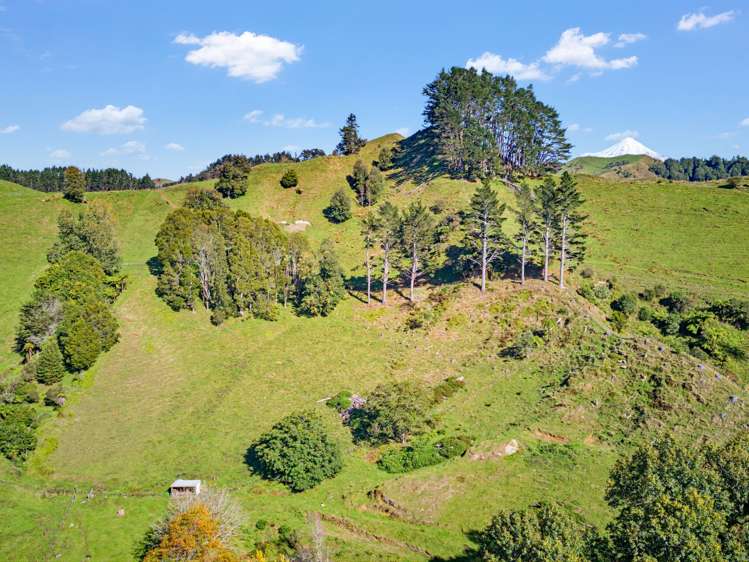 822 Motukawa Rd Inglewood_12