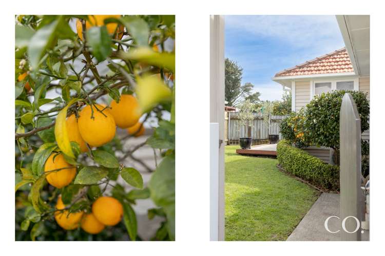 25b Pine Avenue Otumoetai_14