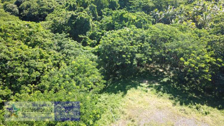 Address withheld Savusavu_13