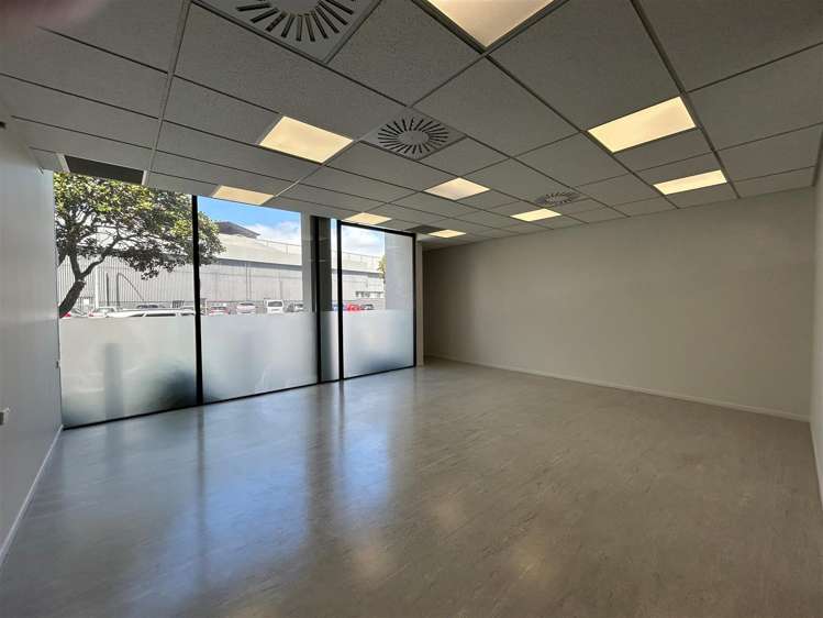 1 McNab Street Penrose_5