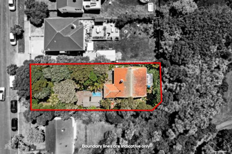 73 Walmer Road Point Chevalier_8