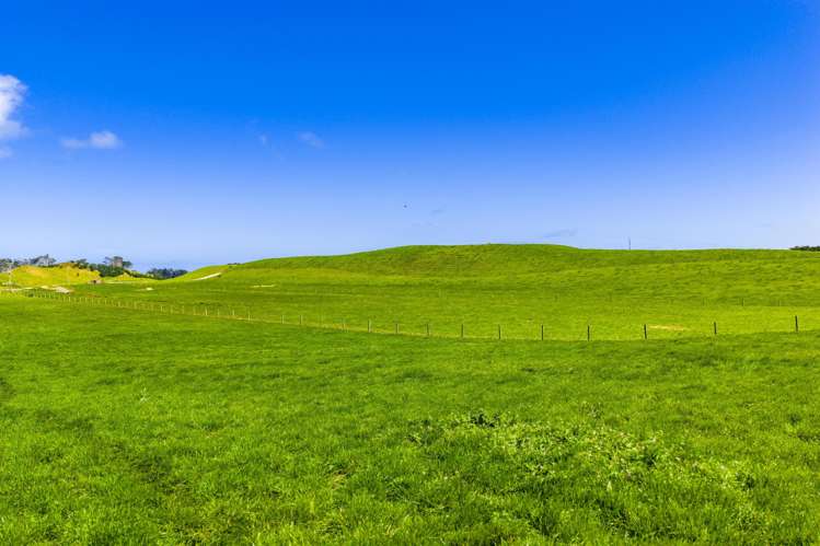 780 Te Maire Road Te Kopuru_19