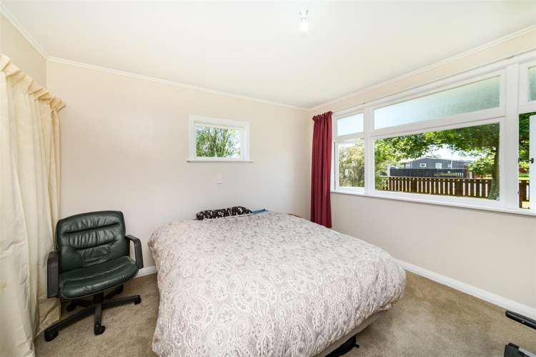 25 Flower Street Bulls_17