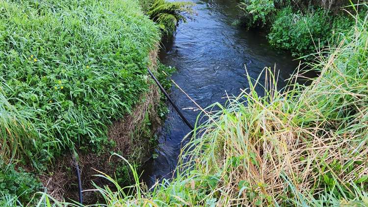 794 Tariki Road Ratapiko_17