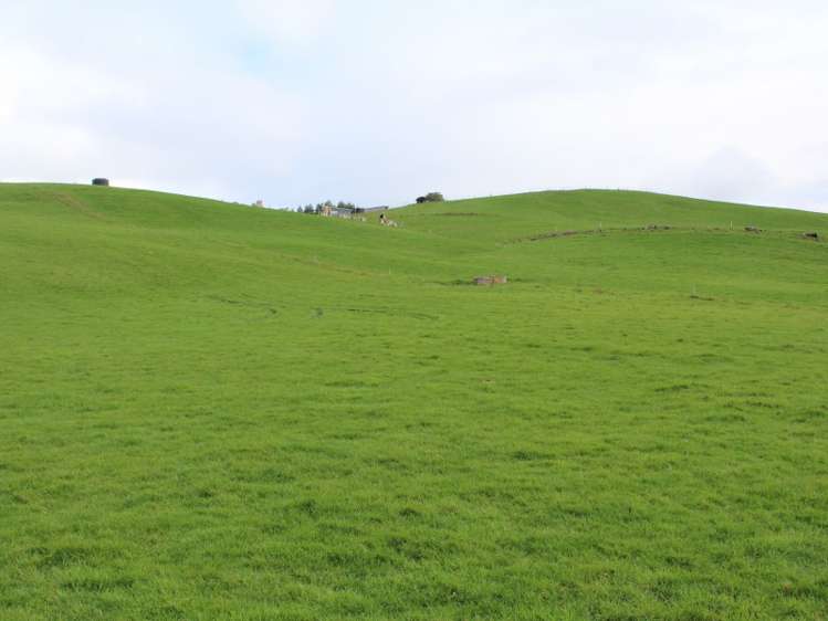 86 Glengarry Road Dannevirke_19