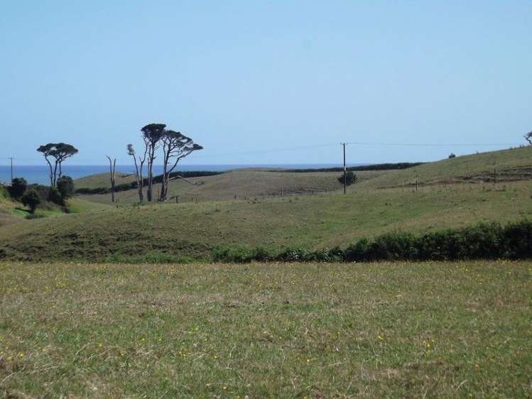 293 Perth Road Okato_6