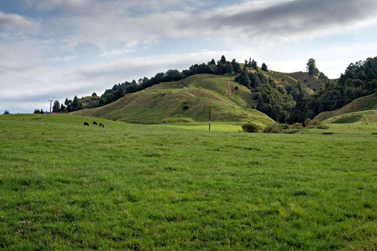 2140 State Highway 2, Nukuhou North Whakatane_1