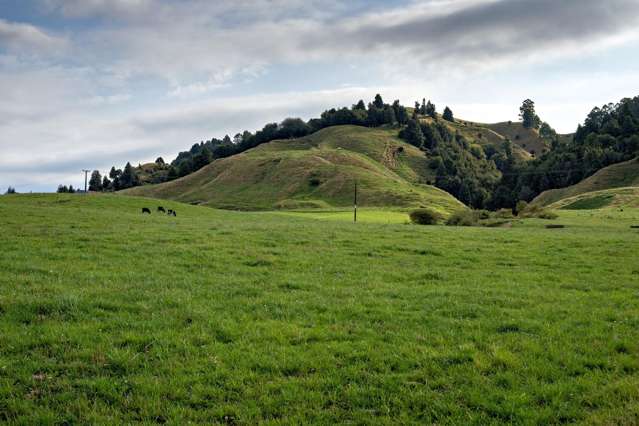 2140 State Highway 2, Nukuhou North Whakatane_1