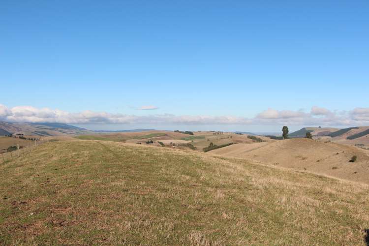 Mt Michael Valley Road Fairlie_8