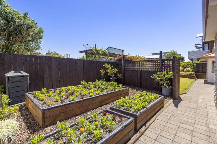 1 Tui Street Mt Maunganui_17