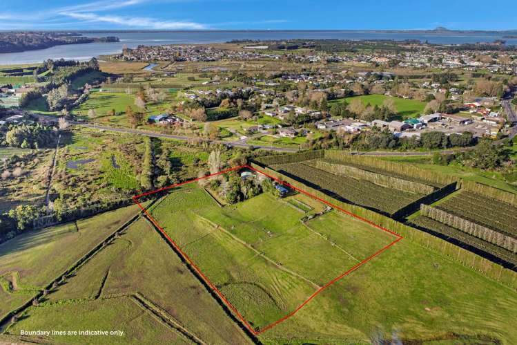 115 State highway 2 Katikati_28