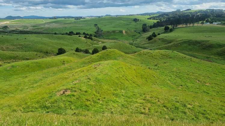Okokako Road Waimate North_7