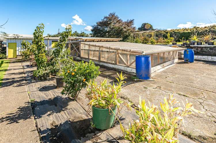 20 Lupton Street Waverley_18