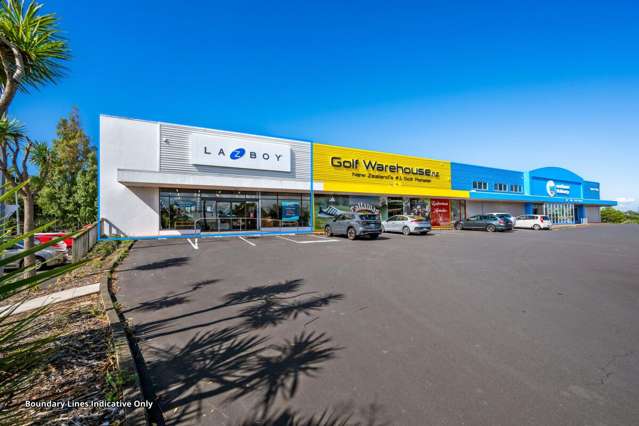 High-Exposure Wairau Showroom
