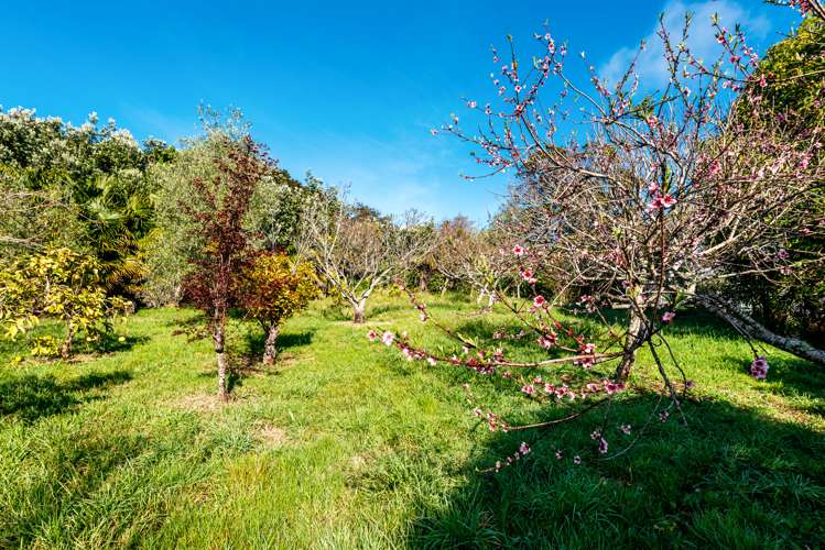 50 Calais Terrace Ostend_24