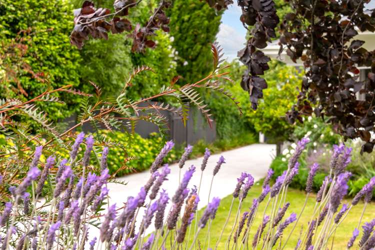 7 Coradine Street Masterton_14