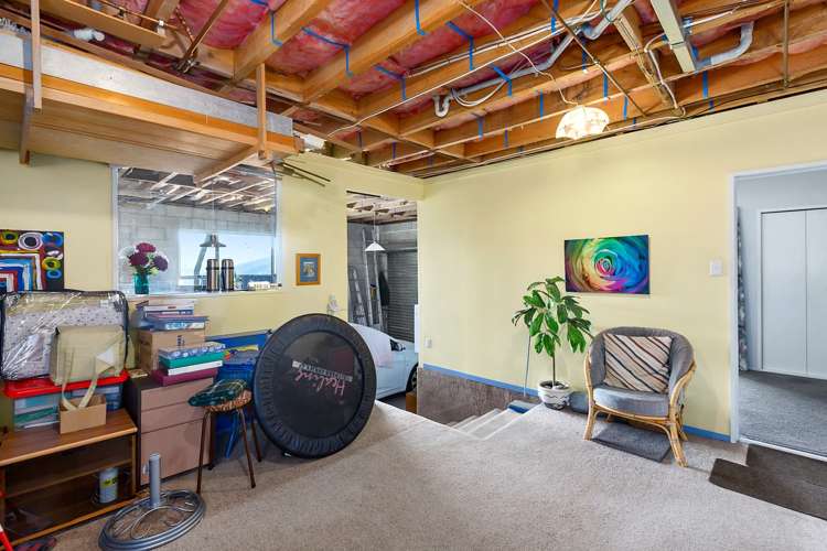 217 Larnach Road Waverley_23