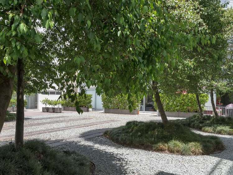 503/28 College Hill Freemans Bay_17